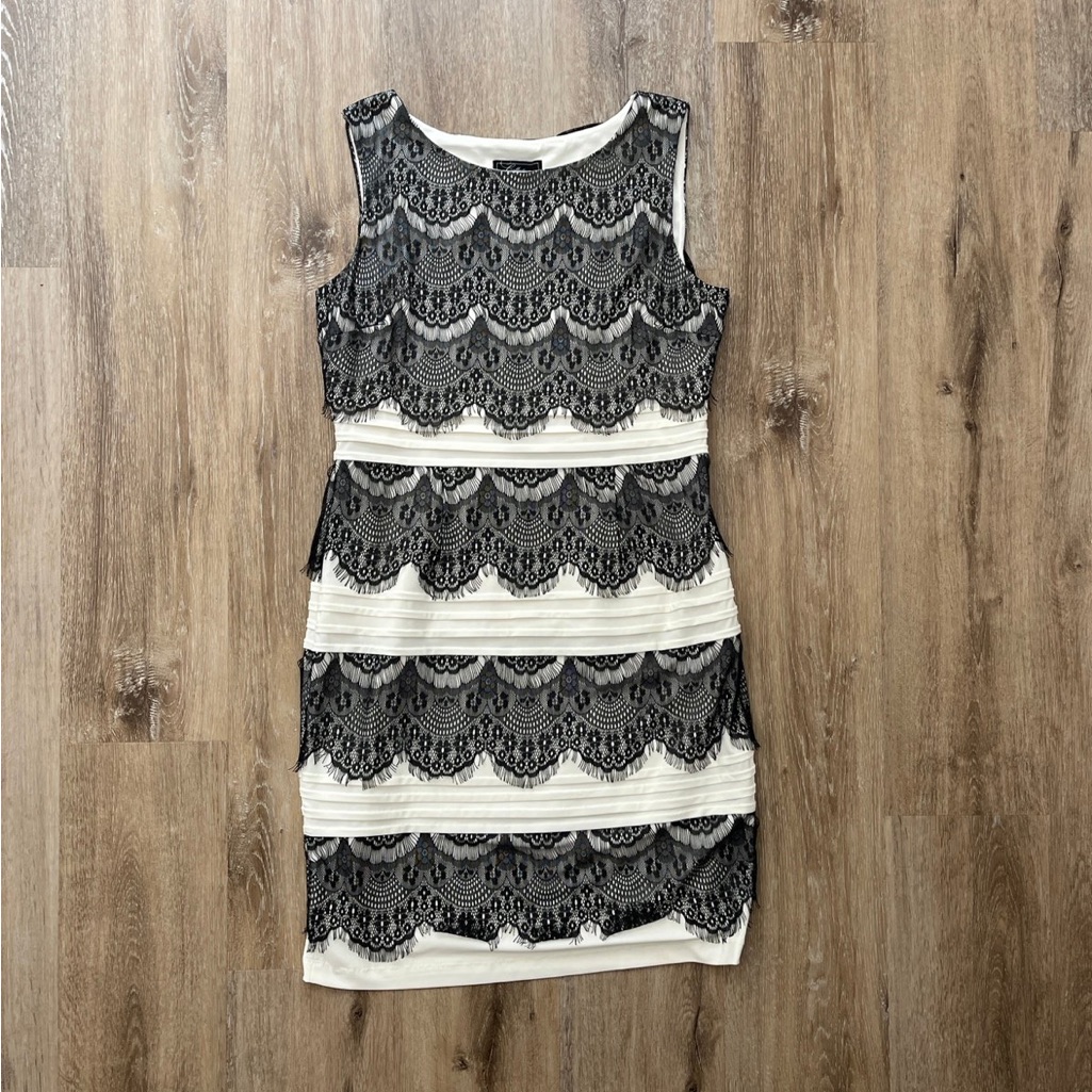 Black And White Lace Dress That Looks Like The Dress